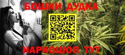 шишки Сланцы