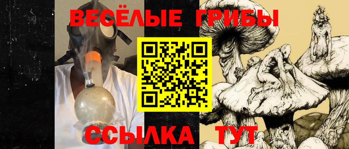 Галлюциногенные грибы Magic Shrooms Павловский Посад